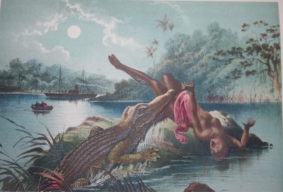 Image for The Life and Explorations of David Livingstone, LL.D., Carefully Compiled from Reliable Sources