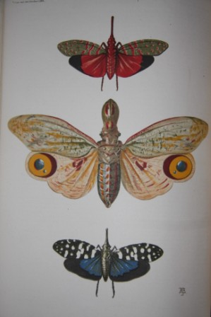 Image for Nature and Art (2 Volumes Bound in one)