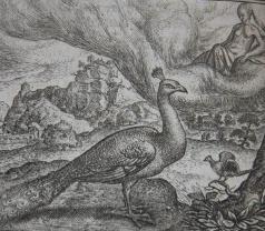 Image for Vorsteliicke Warande der Dieren. De Helden Godes des Ouwden Verbonds.  De Heerlyckheyd van Salomon.  Hierusalem Verwoest.  De Vernieuwde Gulden Winckel der Kunstlievende Nederlands. (Five works bound in one)
