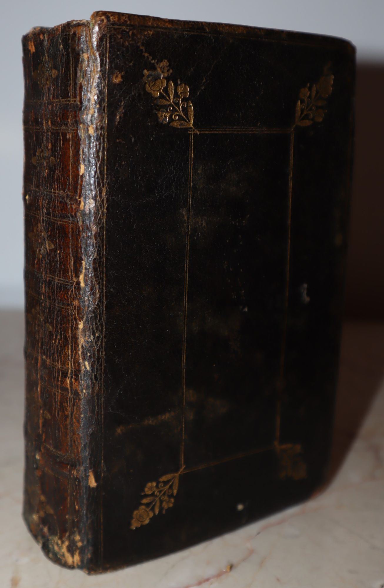 [Fore-edge Painting] Biblia Sacra Sive Testamentum Vetus ab im Tremellio et Fr. Junio ex Hebraeo Latine redditum et Testamentum Novum a Theod. Beza e Graeco in Latinum versum