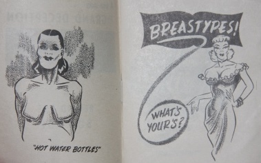 Image for A true story . . . . the Grand Deception or Behind the Buildup.  Breastypes!  What's Yours?