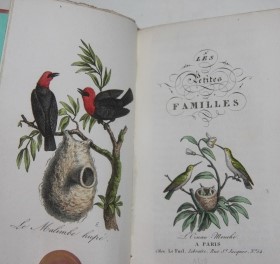Image for Les Petites Familles