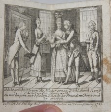 Image for Schleswig-Holsteinischer Schreib-Calender, Aufs Jahr Christi 1789.