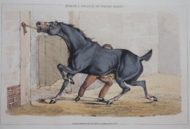 Image for Sporting Scrap Book