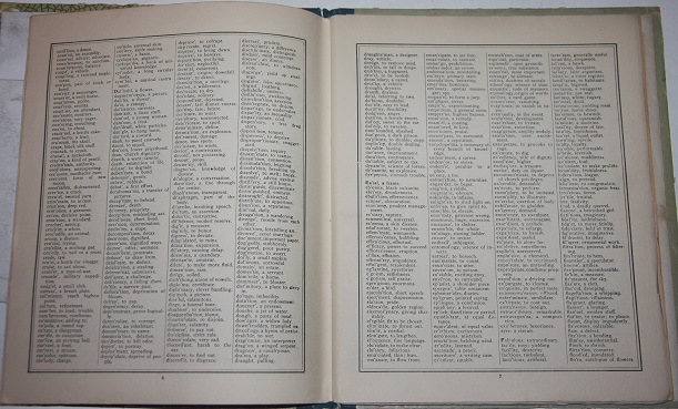 The Boudoir Portfolio.; With Postal Regulations, Convenient Dictionary and Speller
