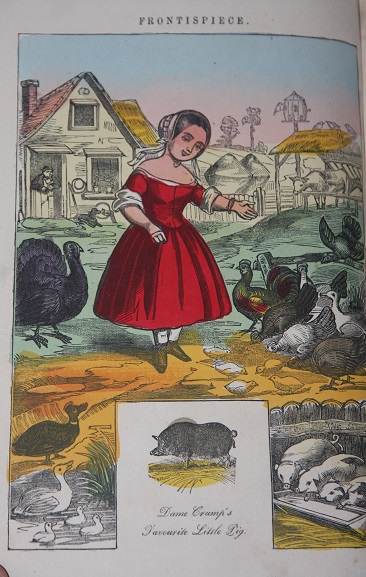 Image for Dame Crump and Her Pigs:  Their Deeds and Misdeeds