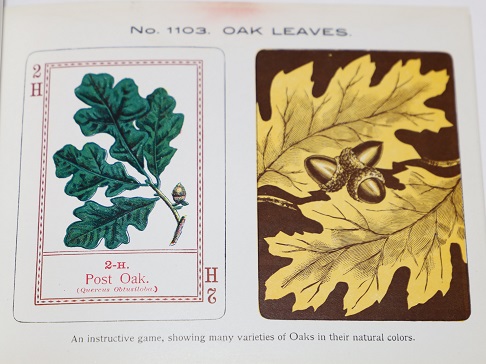 Fireside Card Games.; Highly Enameled and Finished. Catalogue No. 1.--England