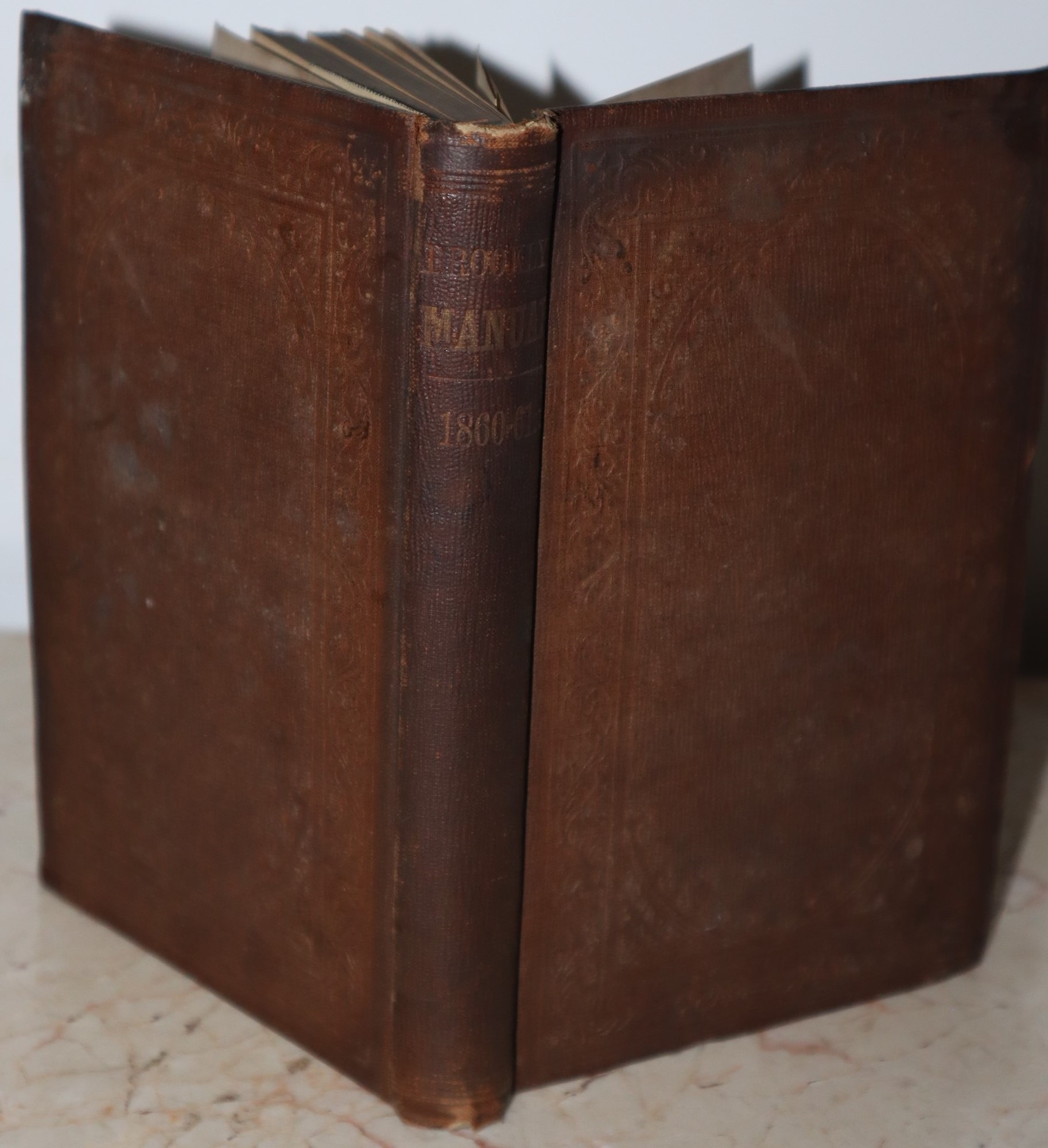 Manual of the Common Council of the City of Brooklyn for 1860-1861