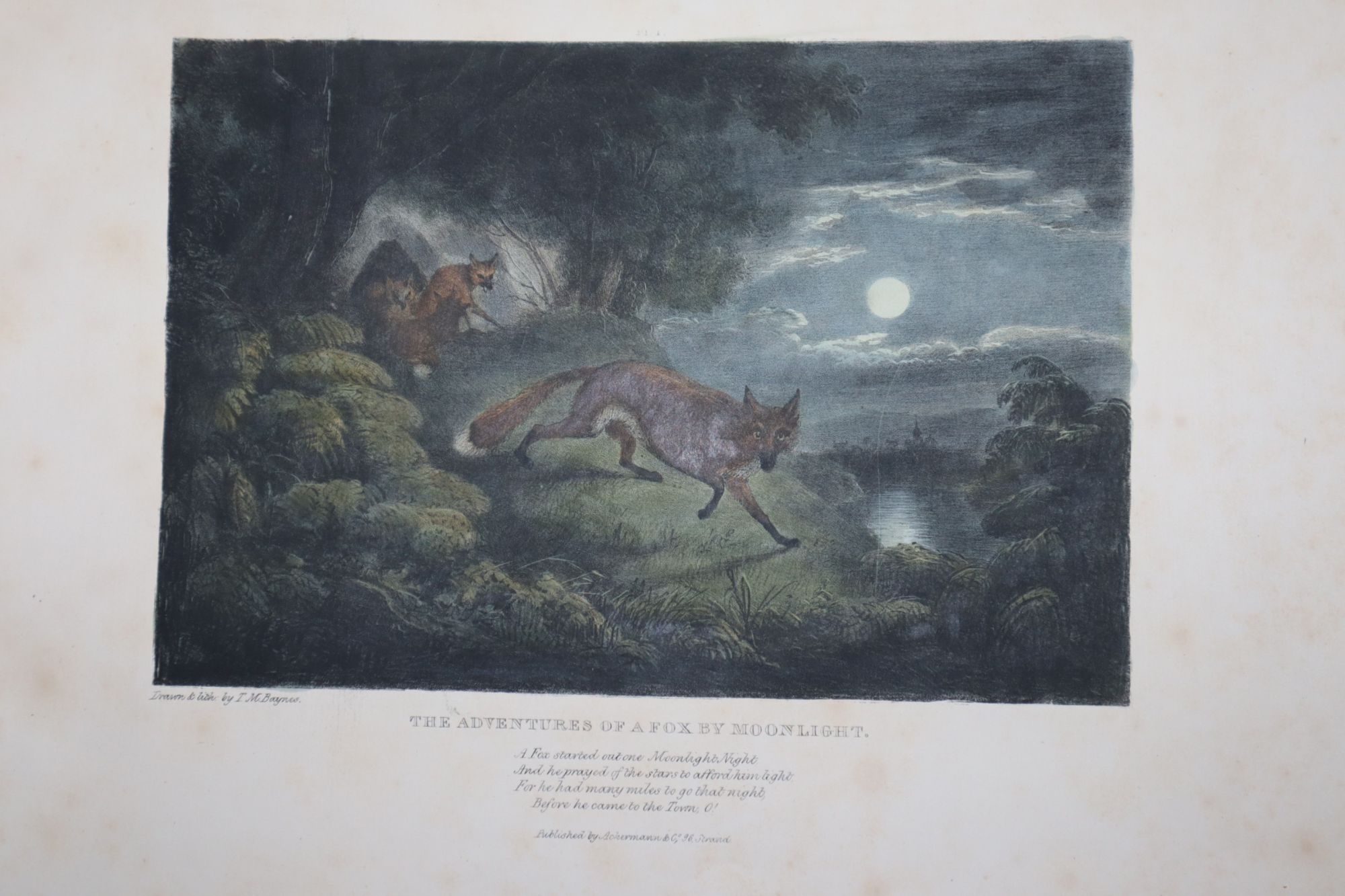 The Adventures of a Fox by Moonlight; A Series of Six Plates