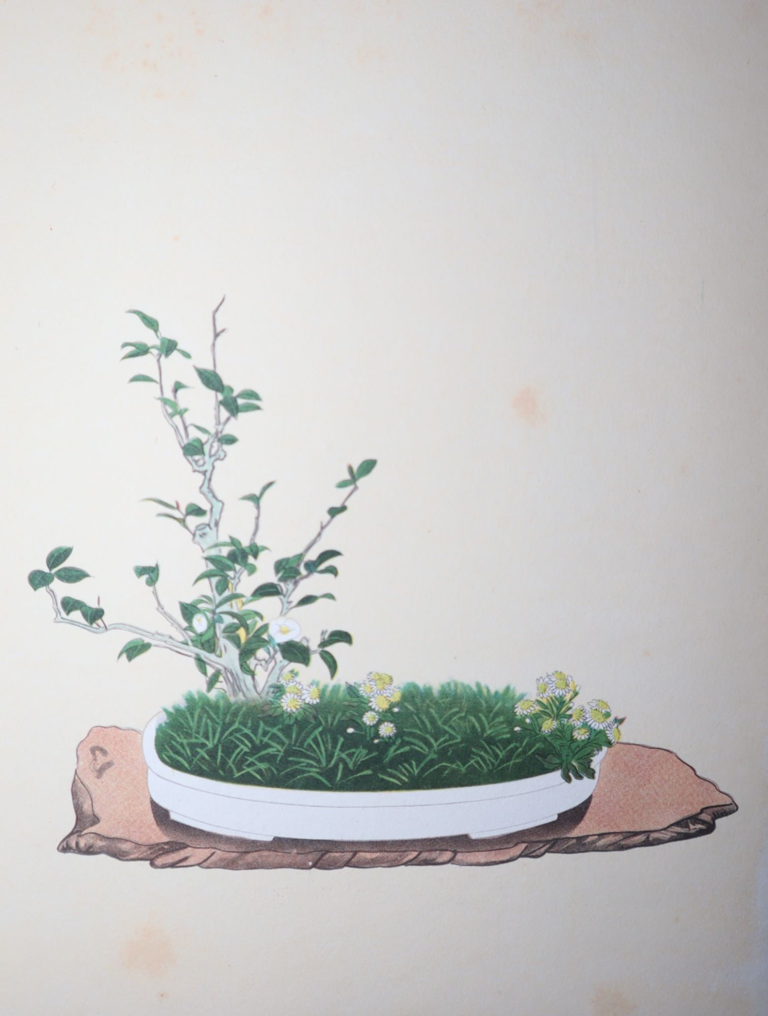 Moribana & Heikwa Selected Flower Arrangements of the Ohara School