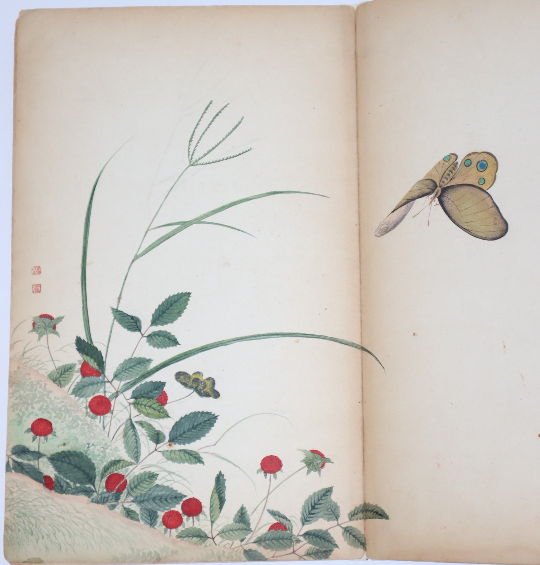 Eighteenth Century Chinese Paintings of Flowers and Butterflies. Painted Directly onto the Pages of an Orihan (Chinese Concertina or Accordian-Style) Book