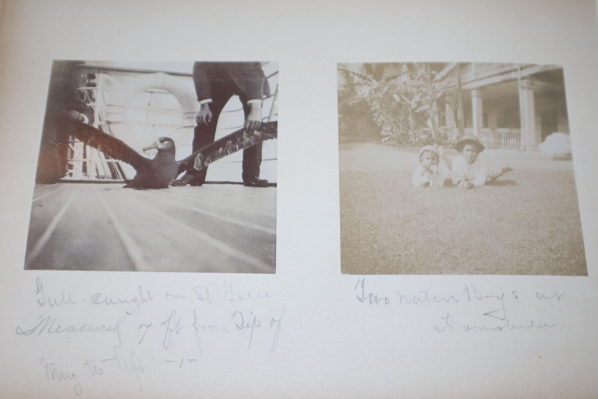 Photo Album of 1898 Pacific Journey Including Hawaii, China, Hong Kong, Japan, with many colorized photos, and some interesting subject matter, including a few of things not the usual fare for a tourist photo album