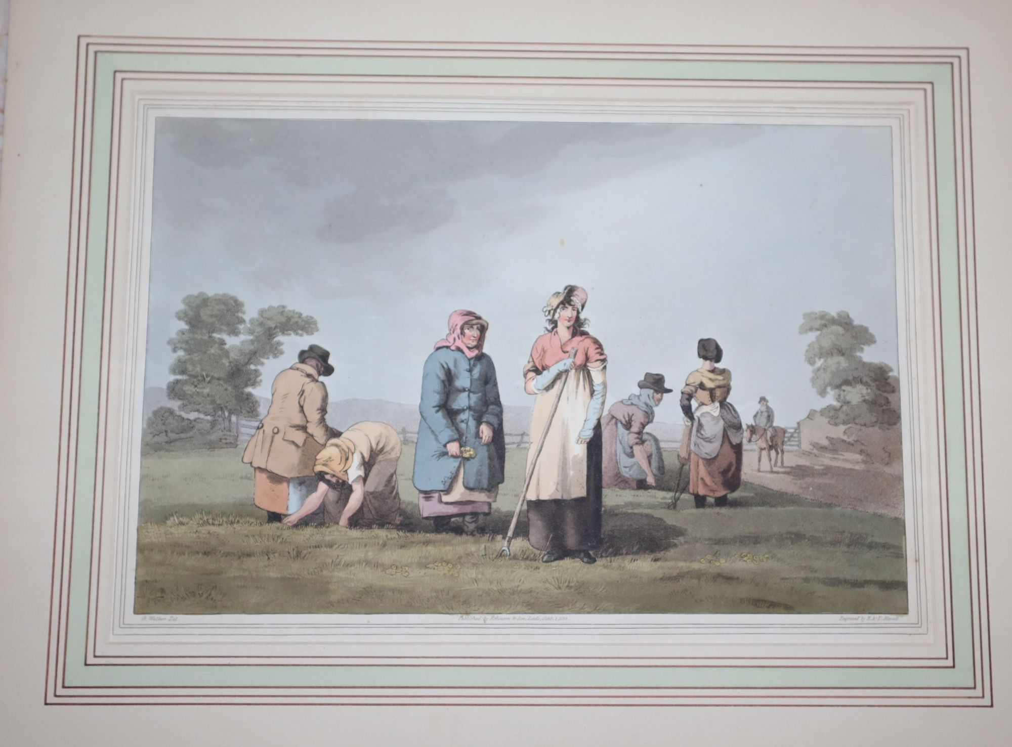 [Hand-Colored Aquatint]