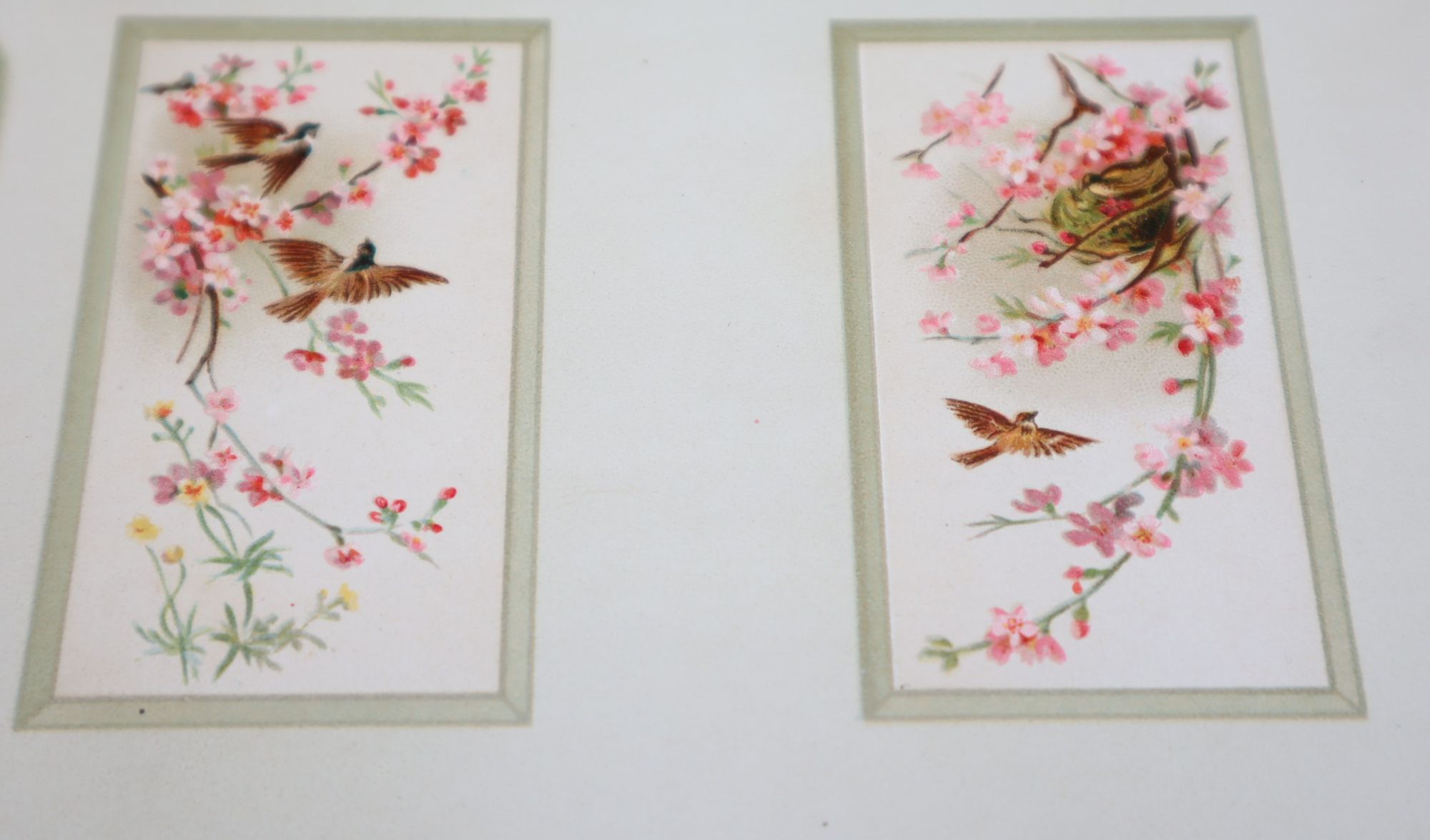 Raphael Tuck Door Panel Decorations (Miniature Specimens of Door Panel Decorations)