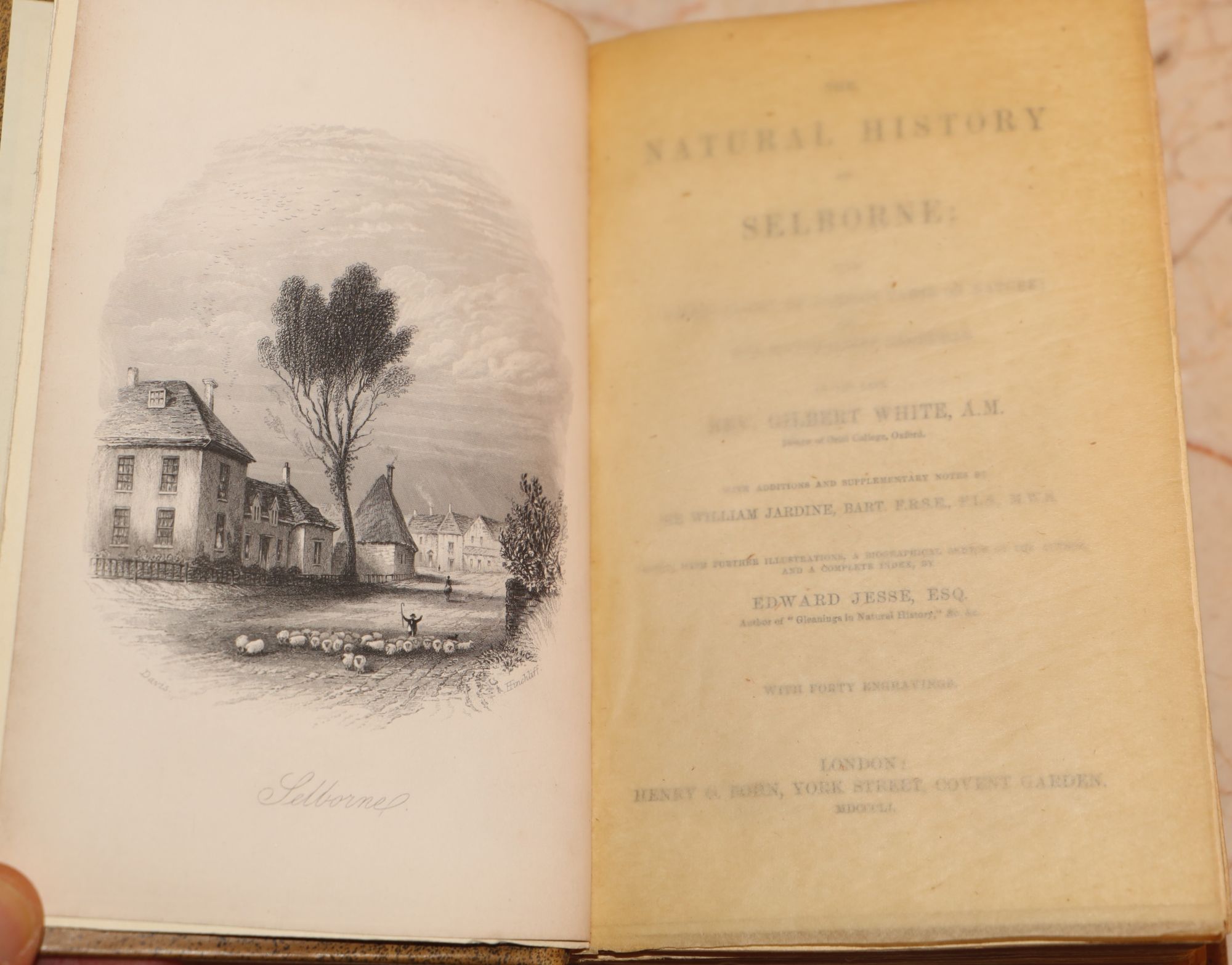 The Natural History of Selborne; With Observations on Various Parts of Nature; and The Naturalist's Calendar