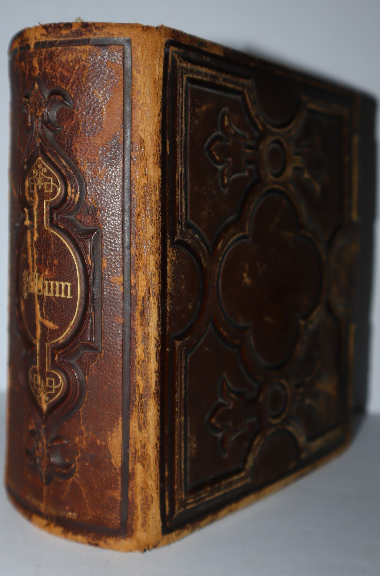 Cartes-de-Visite Photo Album of the Scott Family of Rhode Island