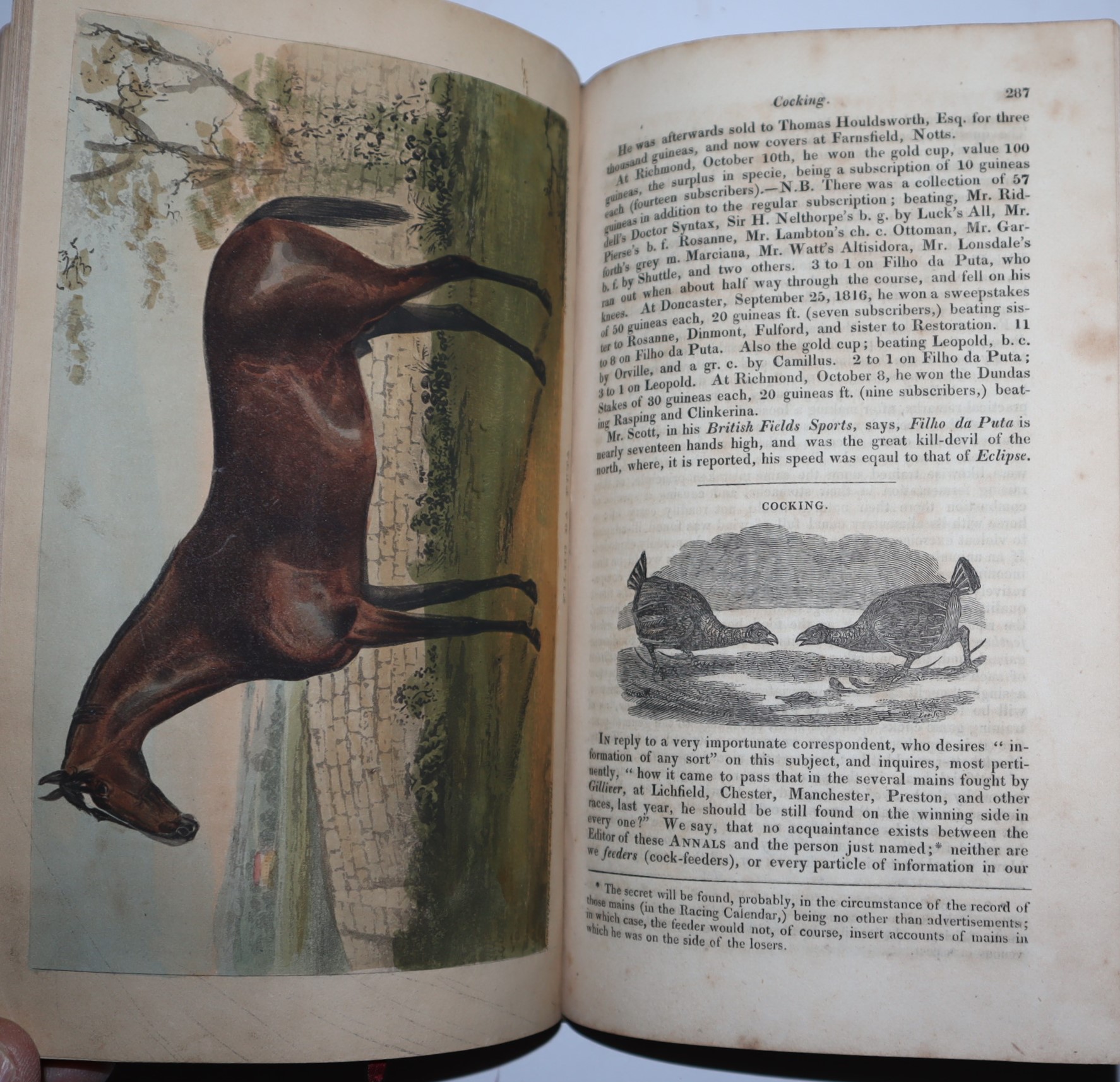 The Annals of Sporting and Fancy Gazette (Complete set of 13 volumes)