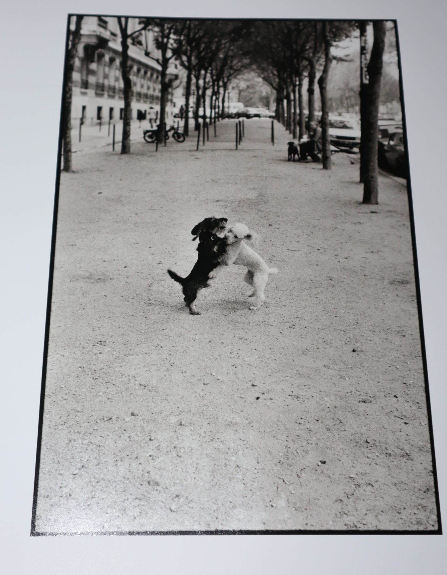 [Inscribed by author] French Kiss. A Love Letter to Paris