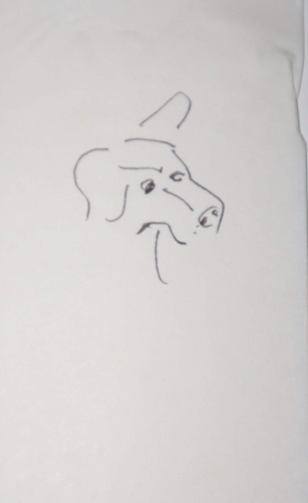 [Original Art] [Inscribed] Wegman's World. 5 December 1982 to 16 January 1983. Walker Art Center