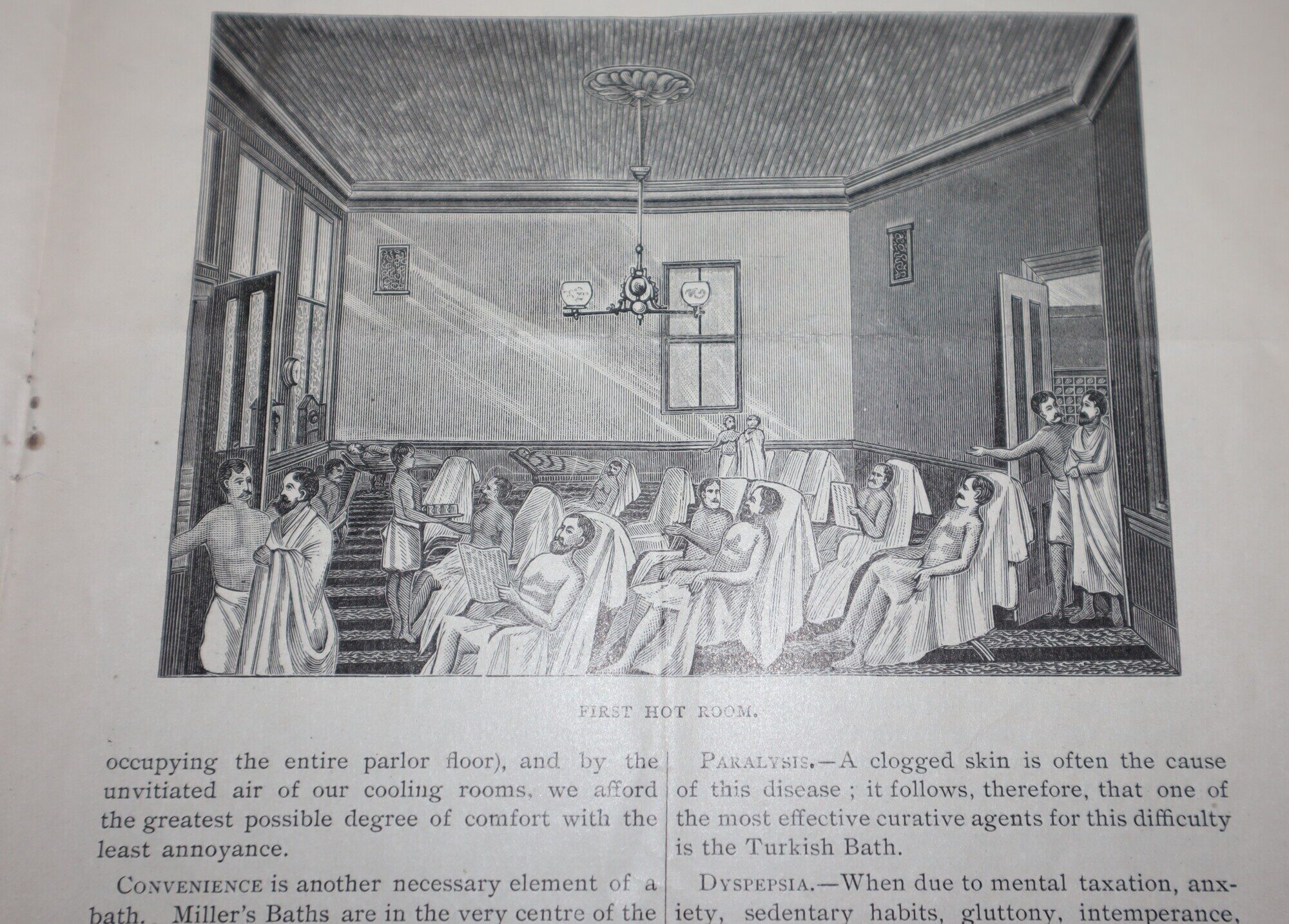 Miller's Turkish Bath Herald. Vol. 1. No. 1