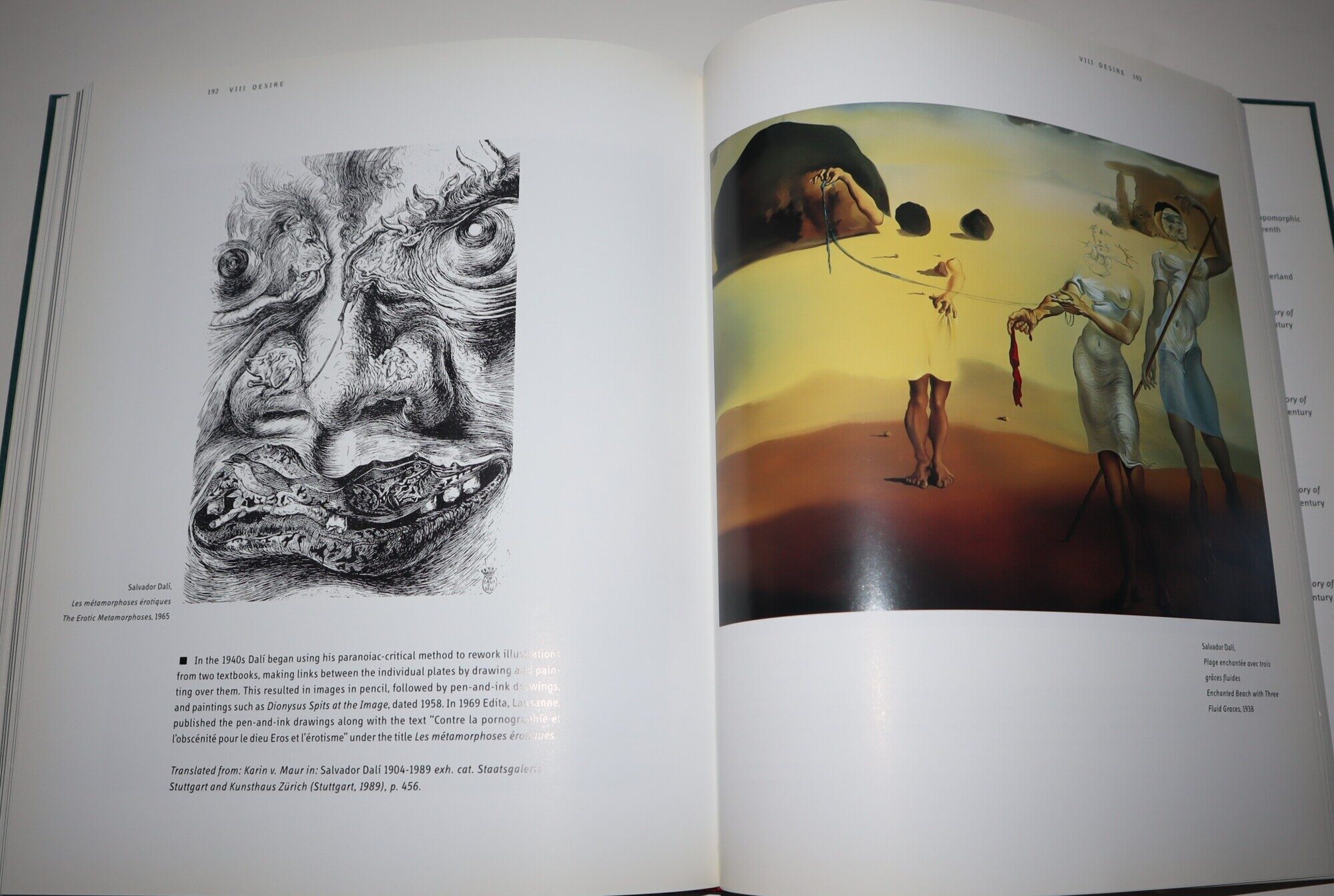The Endless Enigma Dali and the Magicians of Multiple Meanings