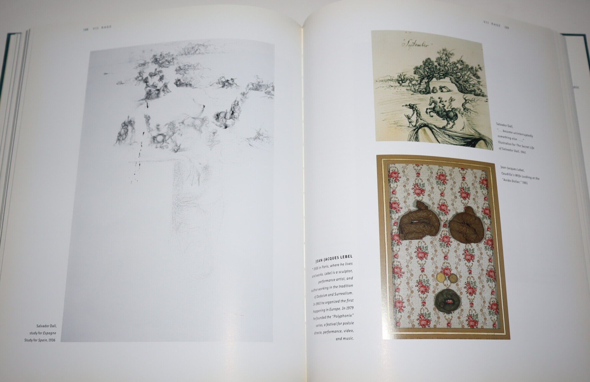 The Endless Enigma Dali and the Magicians of Multiple Meanings