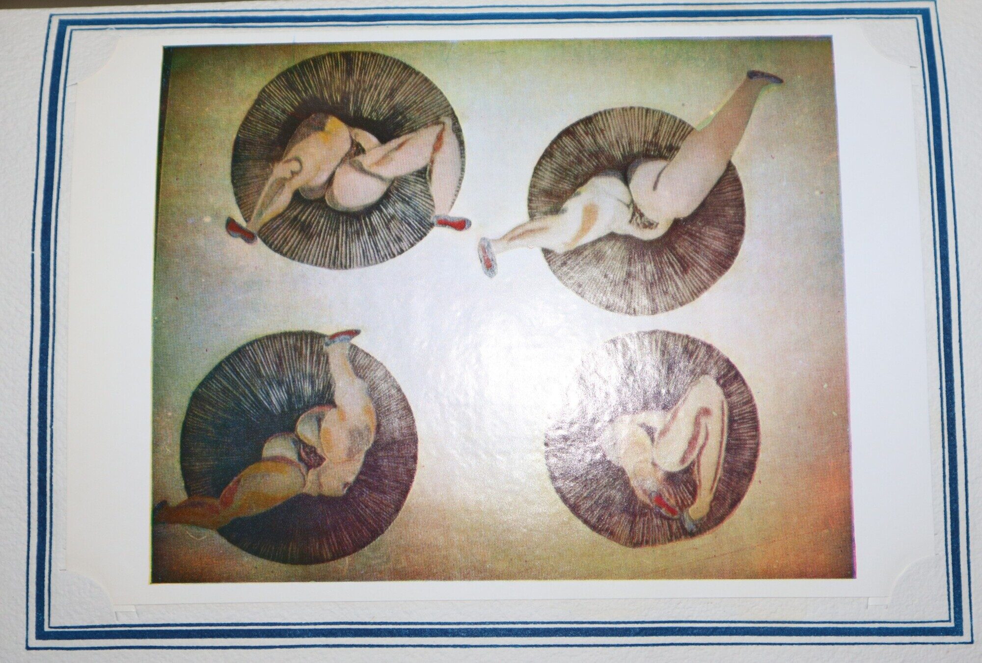 Image for Pinxit Pinxit