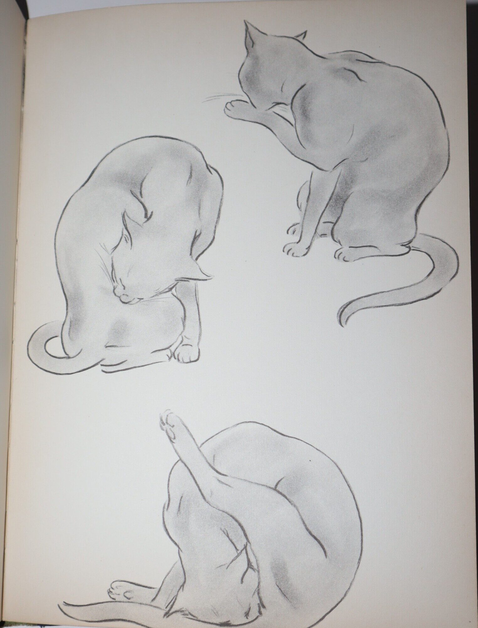 Image for Town Cats. A Book of Drawings Town Cats. A Book of Drawings