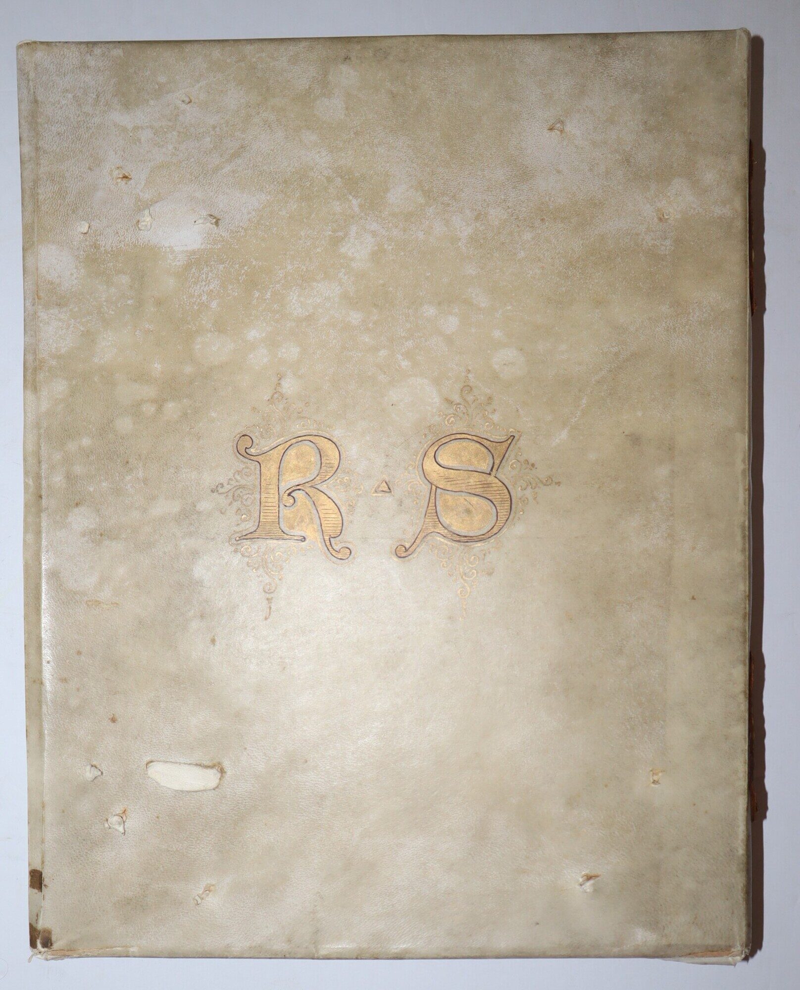 Medieval-Style Full Vellum Bound with Armorial Painting of Lion Holding Shield on Front Cover