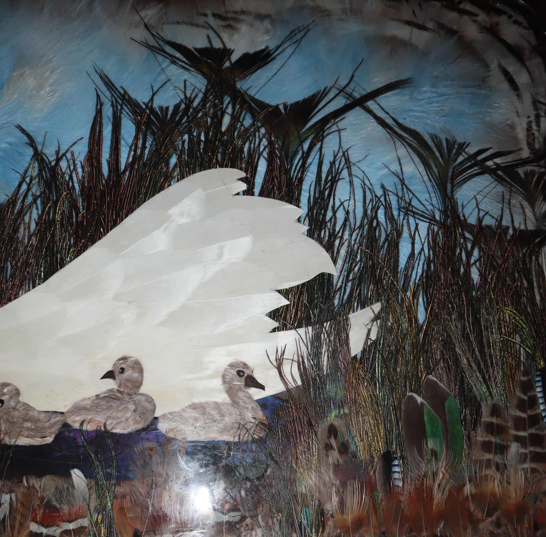 [Folk Art] [Feather Art] A Swan and Her Four Cyngets, swimming placidly through tall grass, an artwork made entirely of feathers