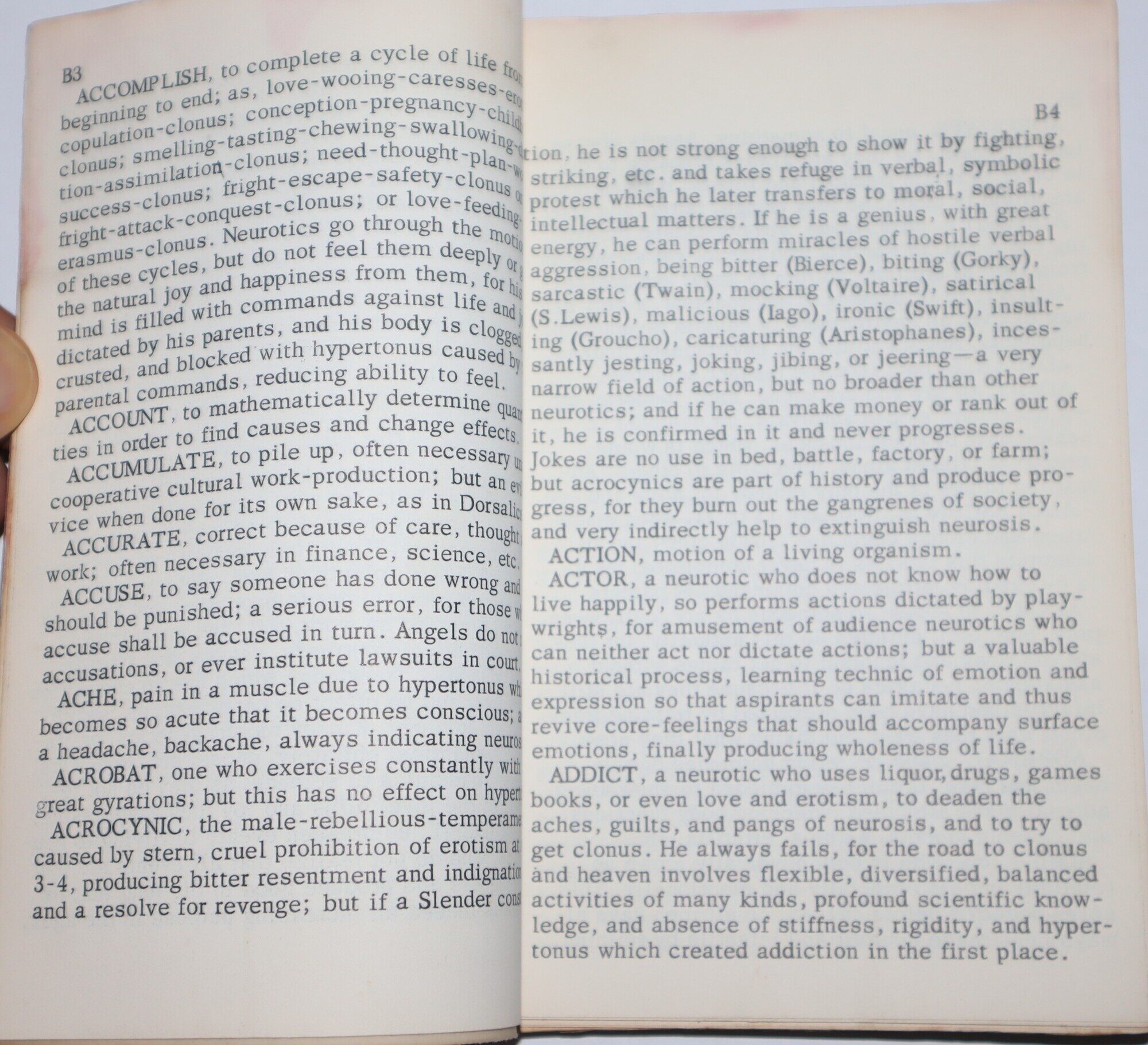 Image for Dictionary of the Angelish Language [ Dictionary of the Angelish Language [